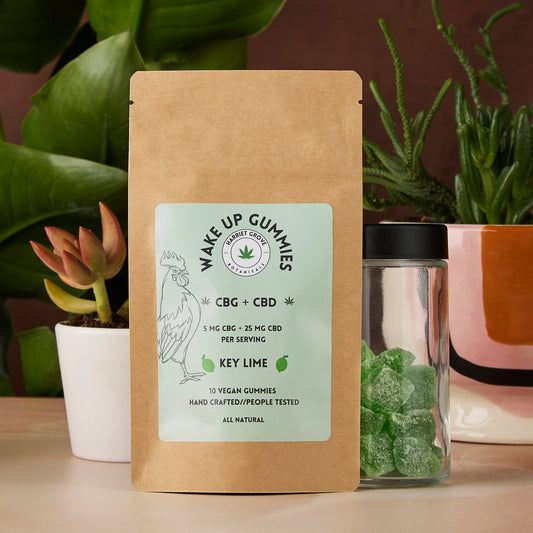 Wake Up Gummies - Key Lime