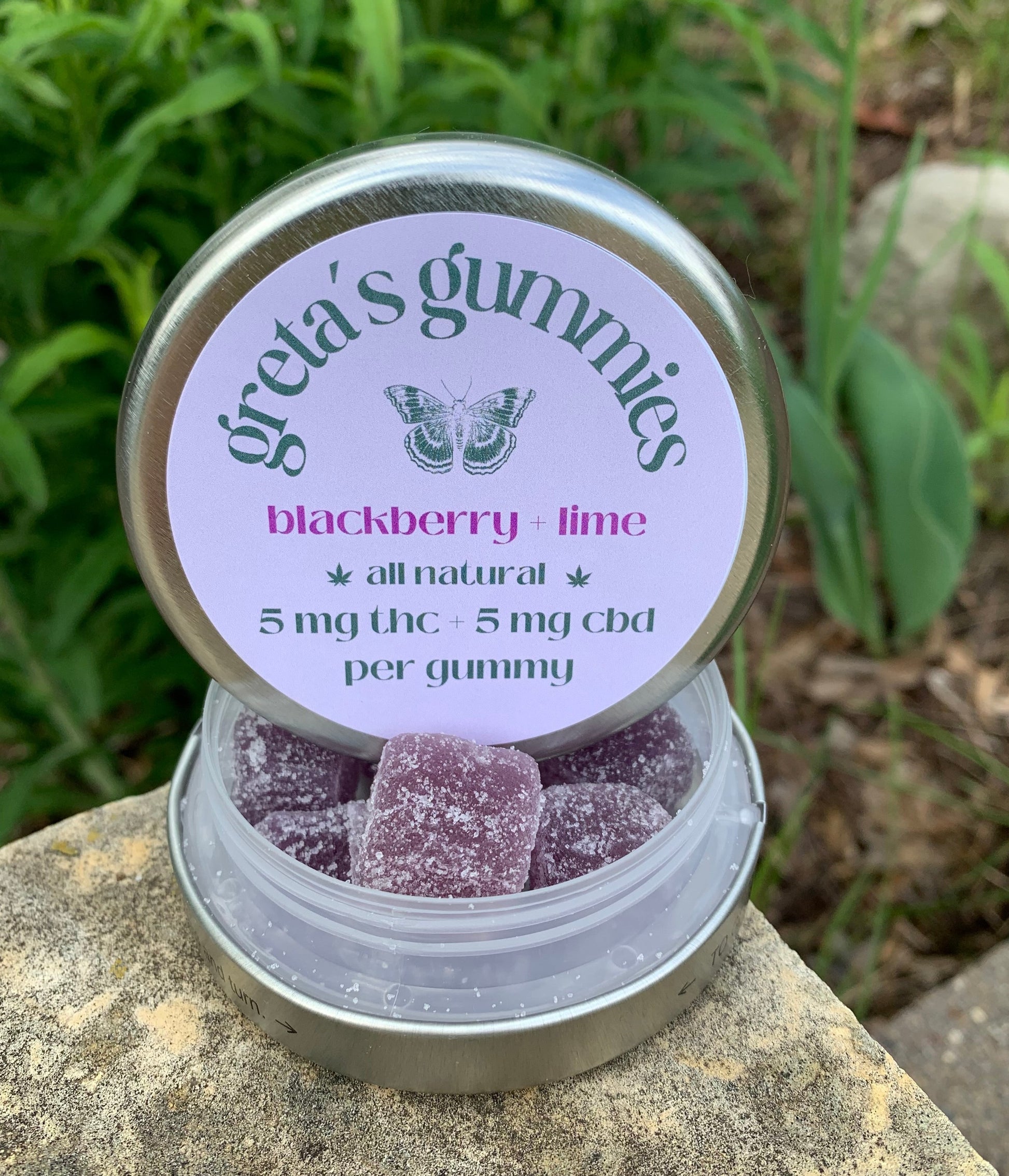 Photo of round tin with 10 blackberry-lime gummies in it, set on a stone with greenery in the background