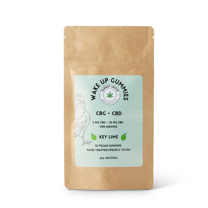 CBG Wake Up Gummies - Key Lime Flavor