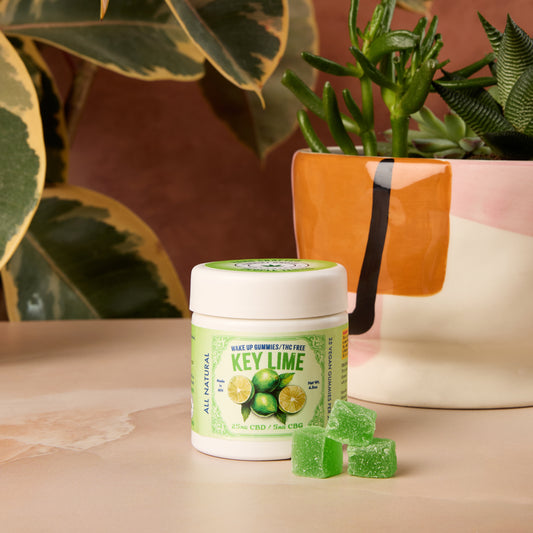 Wake Up Gummies - Key Lime