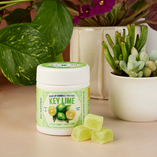 Wake Up Gummies - Key Lime